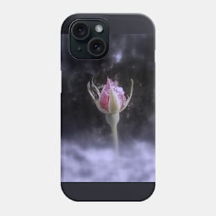 rosebud in the snow 3 in Rainier Oregon, tinted Phone Case