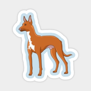 Pharaoh hound dog cartoon illustration Magnet