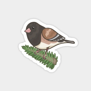 Dark-Eyed Junco Magnet