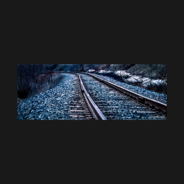 Railroad Tracks in Early Spring by kenmo