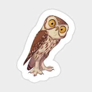 Little owl Magnet