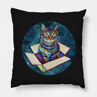 Cat in a Box Floating Through Space Pattern Pillow