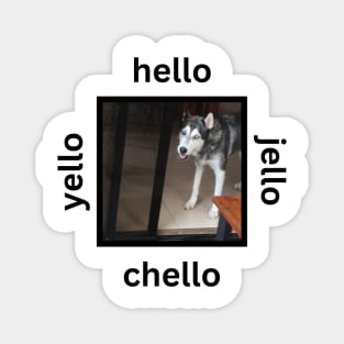 Husky Dog Yello Hello Chello Jello Magnet