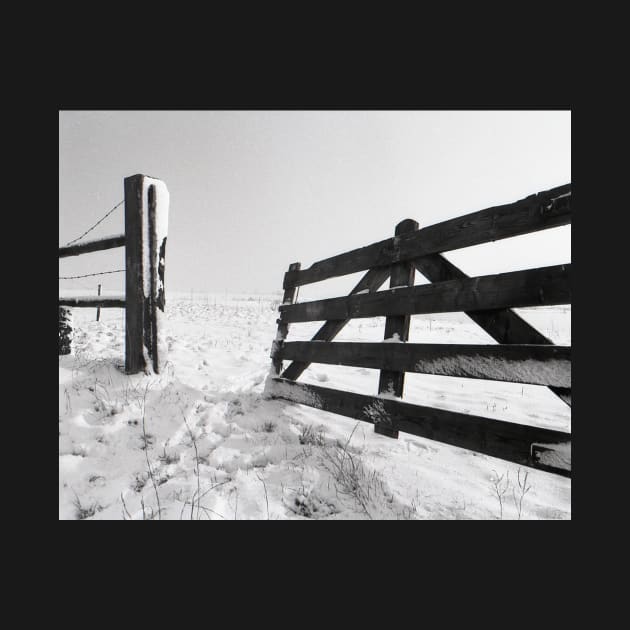 Open Fence in Wintertime by robelf