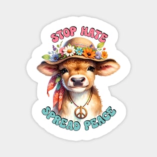 Stop Hate Spread Peace Magnet