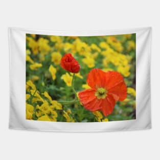 Iceland Poppies Tapestry