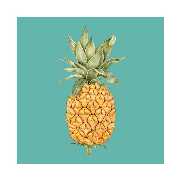 Pineapple by NewburyBoutique