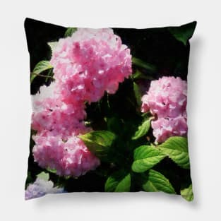 Hydrangea in Sunshine Pillow