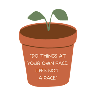 Do Things At Your Own Pace. Life's Not A Race T-Shirt