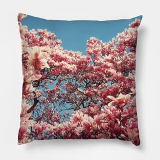 magnolia cluster blossoms Pillow