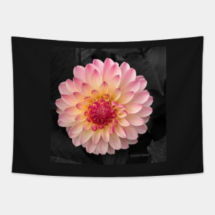 Pink Flower Art for Fashion and Home decor Tapestry