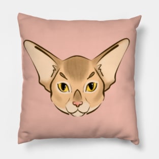 Baby abyssinian Pillow