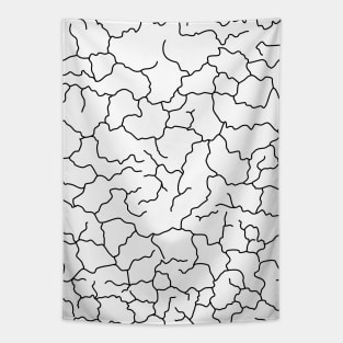 Cracked Lines Black and White Abstract Design Tapestry