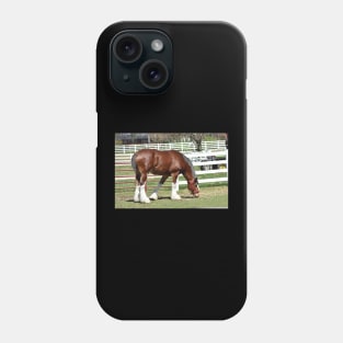 Clydesdale Phone Case