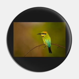 Rainbow Bee Eater, Northern Territory Pin