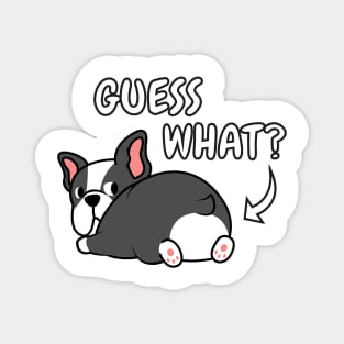 Guess What Boston Terrier Magnet