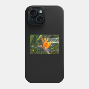 Bird of Paradise Phone Case