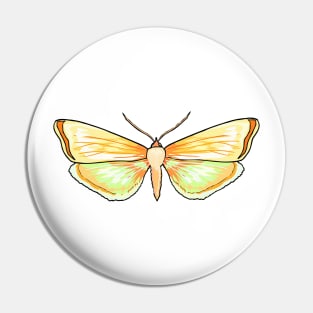 Butterfly Pin