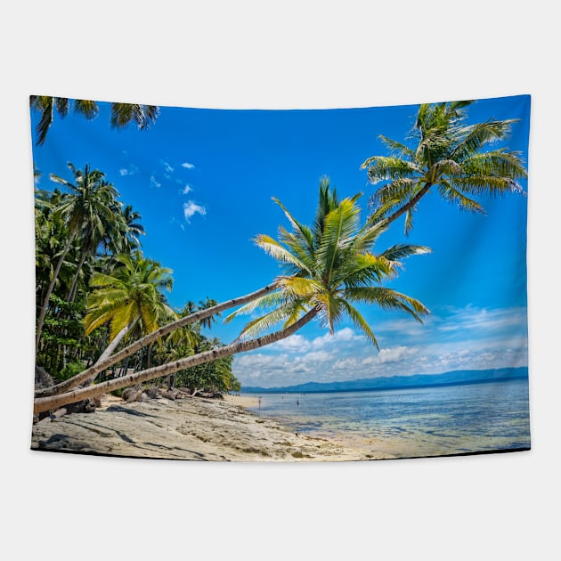 Panaraga Beach, Barobo, Surigao del Sur, Mindanao, Philippines Tapestry by Upbeat Traveler