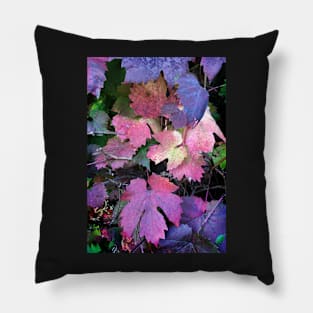 Colours of Autumn Leaves Pillow