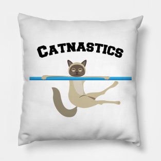 Catnastics blue bar Pillow