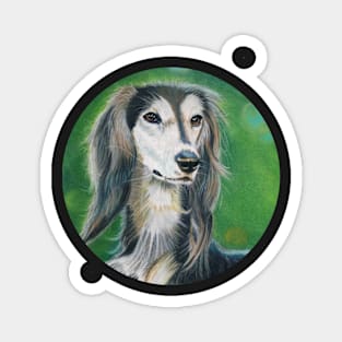 I'm a Saluki, Elegant and Sightful Magnet