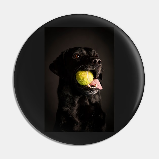 Labrador Retriever Pin by ansaharju