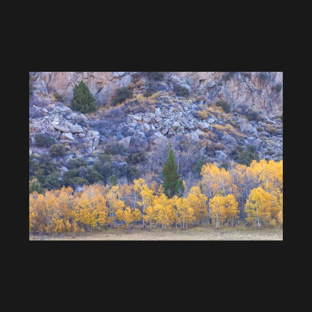 Fall at Foothill by jvnimages