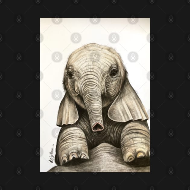 Cute Baby Elephant by Artbythree