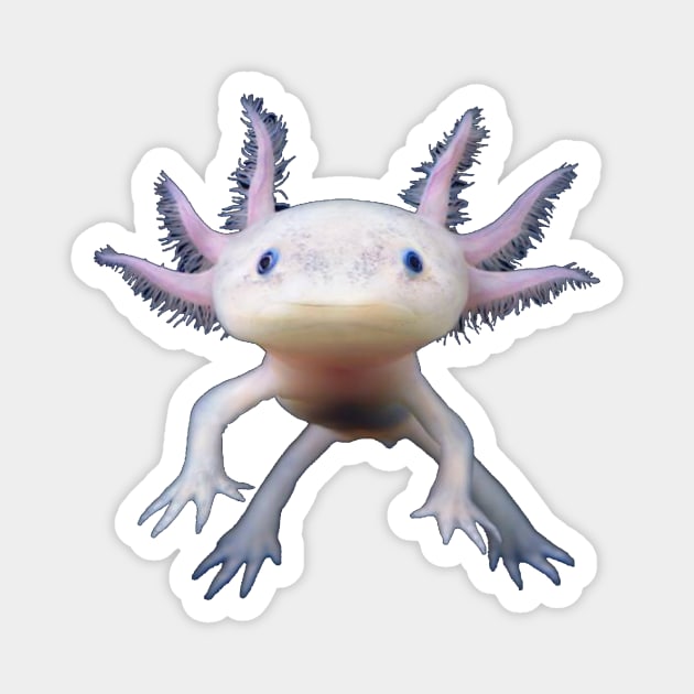 Axolotl Magnet by MysticTimeline