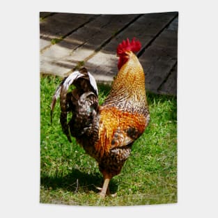Chickens - Strutting Rooster Tapestry