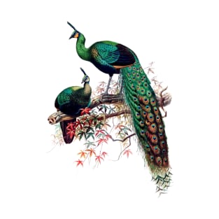 Peacock extravaganza T-Shirt