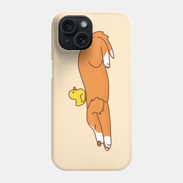 Duck Tolling Retriever Phone Case by Wlaurence