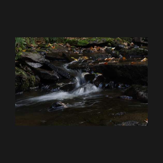 Fog on the Rocks by Nicole Gath Photography