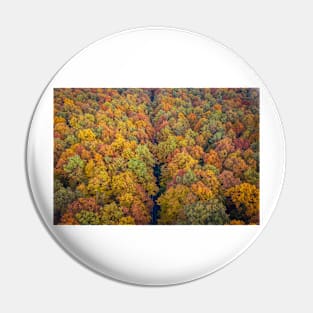 Aerial view of road through colorful autumn forest Pin