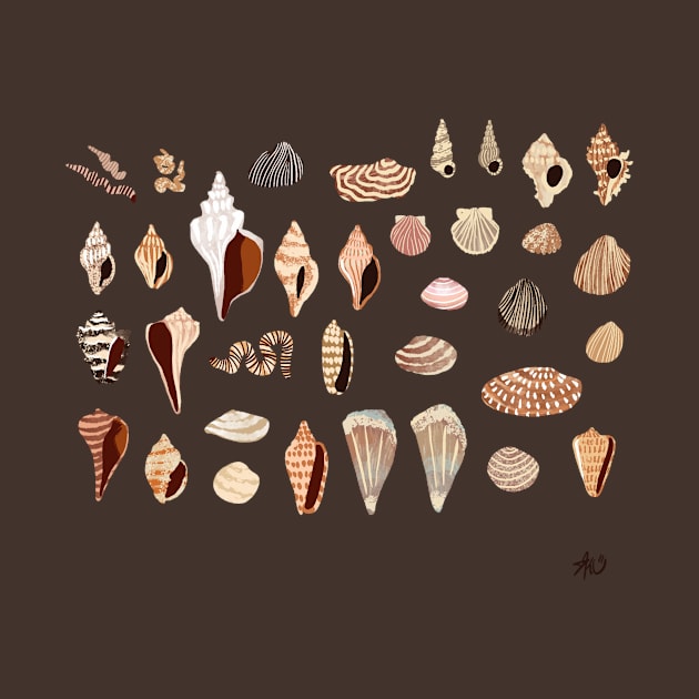 Shells by jokenefick_art