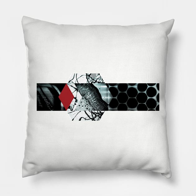 Forensic slide Pillow by tomsnow