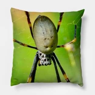 The Orb Weaver Spider awaits its meal! Pillow