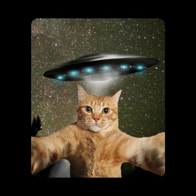 CAT SELFIE UFO by Cult Classics