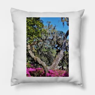 Split Tree Beauty Pillow