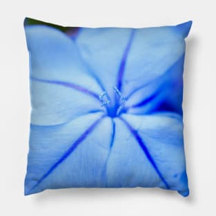 Delicate Bue Flower Photography V1 Pillow