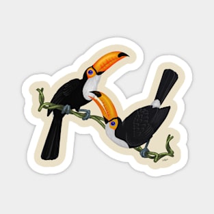 TWO TOUCANS 2 Magnet