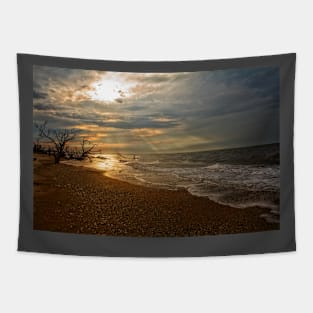 Edisto Island, South Carolina Tapestry