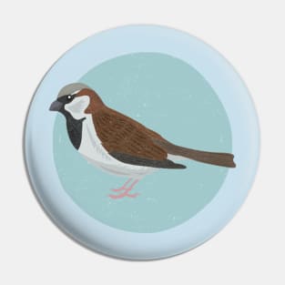 Sparrow Pin