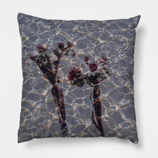 Dancing cactus flowers in water ripples Pillow