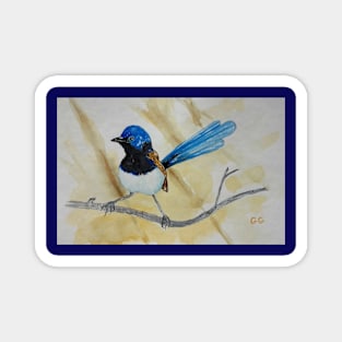 Beautiful Blue Wren - bird art Magnet