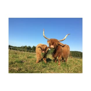 Scottish Highland Cattle Cow and Calf 1529 T-Shirt