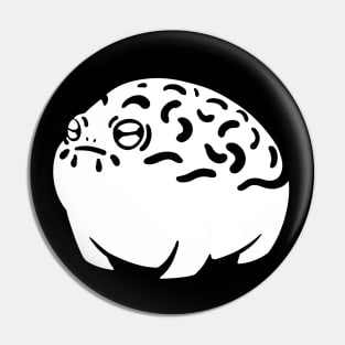 amphibian: Desert rain frog Pin