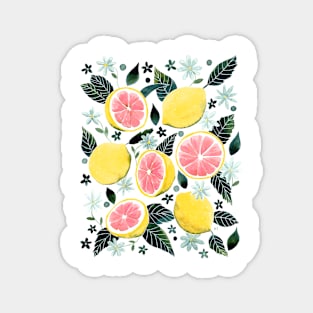 Watercolor Grapefruit Pattern Magnet