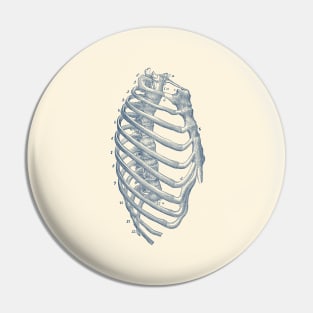 Rib Cage Diagram - Vintage Anatomy Print Pin